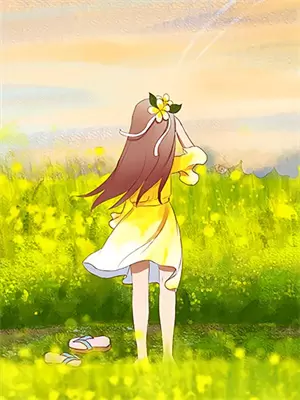 念念岁月