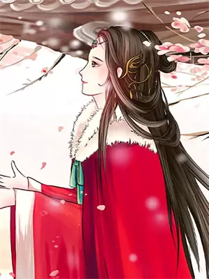 舌尖上的美味视频