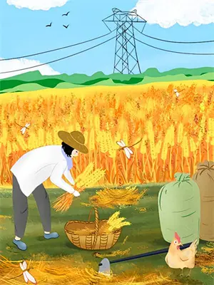 《一起去看日出》